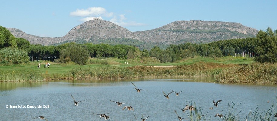 Gualta, entre dues aigües