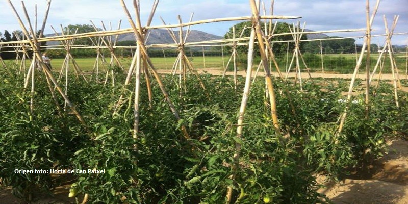 Experiència gastronòmica